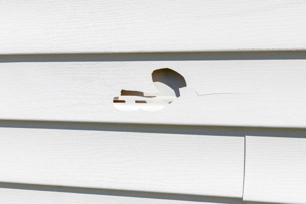 Best Construction Debris Removal  in Walnut Grove, CA